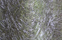 Kilmaluag fibreglass roof work